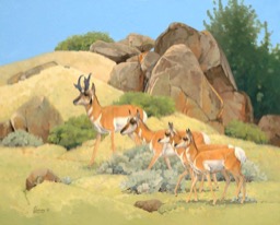Pronghorn Dynasty